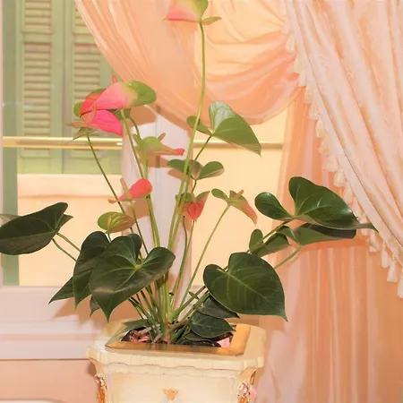 Fiore D'arancio Luxury Center Daire *