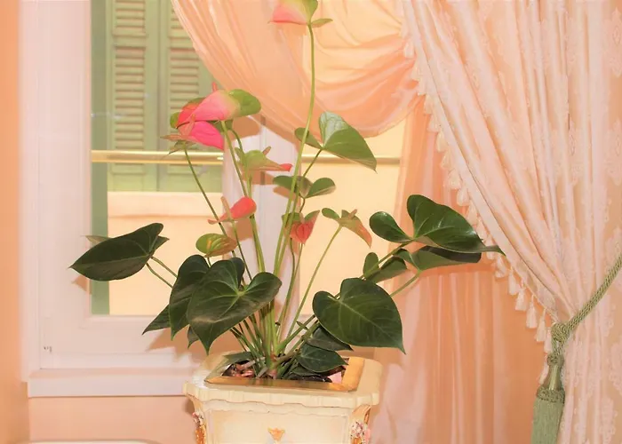 Fiore D'arancio Luxury Center Appartement *